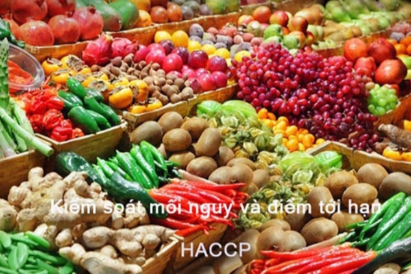 HACCP là gì và áp dụng phù hợp nhất với những ngành nào?